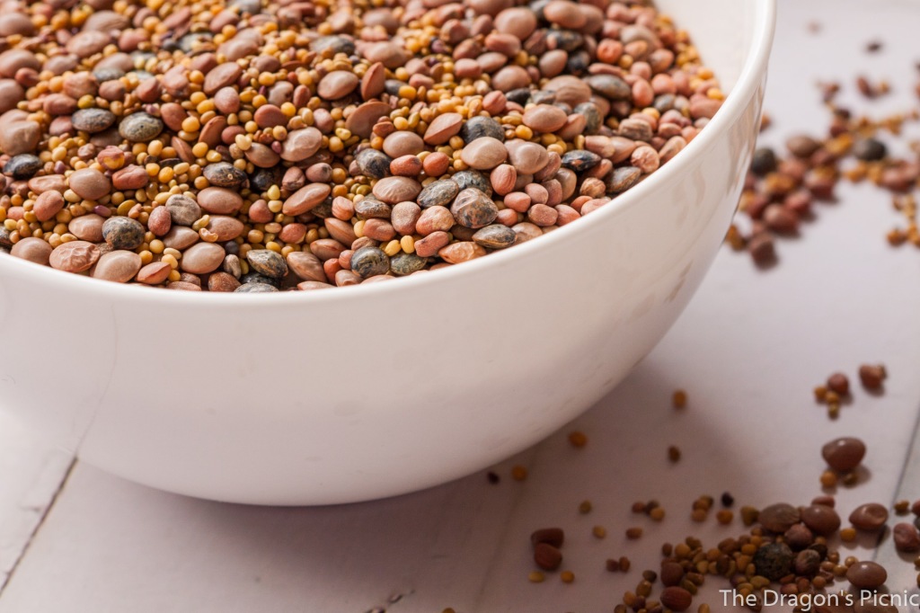 close up of one bowl of mixed sprouting seeds